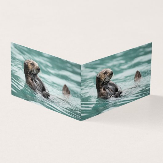 Seeotter (Vorderseite)