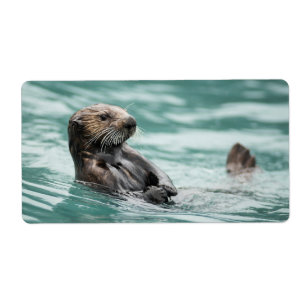 Seeotter