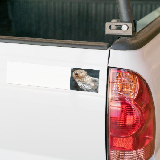 Seeotter-Autoaufkleber Autoaufkleber (Auf Lkw)