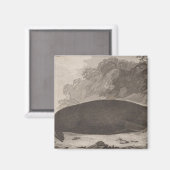 Seeotter, British Columbia Magnet (Vorderseite/Rückseite)