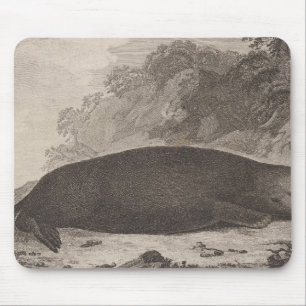 Seeotter, British Columbia Mousepad