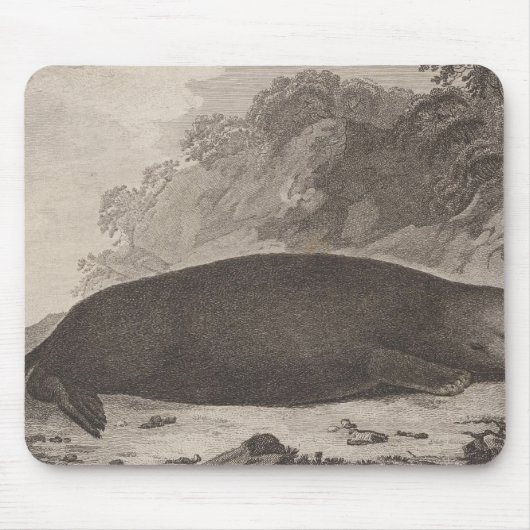Seeotter, British Columbia Mousepad (Vorne)