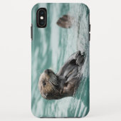 Seeotter Case-Mate iPhone Hülle (Rückseite)