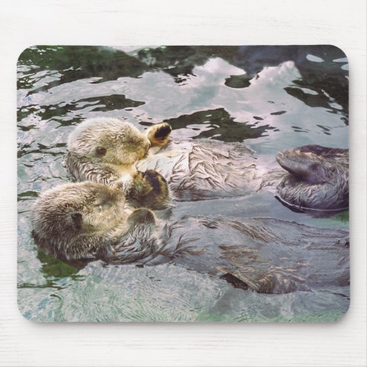 Seeotter, die Hände halten Mousepad (Vorne)