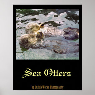 Seeotter, die Hände halten Poster