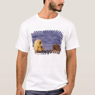 Seeotter, Enhydra lutris 4 T-Shirt