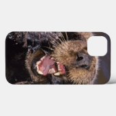 Seeotter, Enhydra lutris 6 Case-Mate iPhone Hülle (Rückseite (Horizontal))