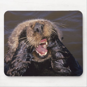 Seeotter, Enhydra lutris 6 Mousepad