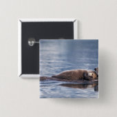 Seeotter, Enhydra lutris lutris Button (Vorne & Hinten)