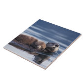 Seeotter, Enhydra lutris lutris Fliese (Seite)