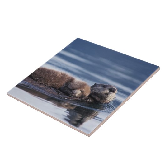 Seeotter, Enhydra lutris lutris Fliese (Seite)