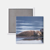 Seeotter, Enhydra lutris lutris Magnet (Vorderseite/Rückseite)