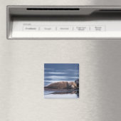 Seeotter, Enhydra lutris lutris Magnet (In Situ (Geschirrspüler))