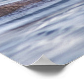 Seeotter, Enhydra lutris lutris, Mutter mit 2 Poster (Ecke)