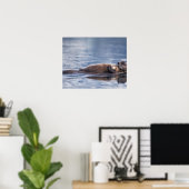 Seeotter, Enhydra lutris lutris, Mutter mit 2 Poster (Heimbüro)
