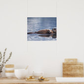 Seeotter, Enhydra lutris lutris, Mutter mit 2 Poster (Küche)