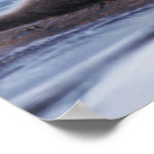 Seeotter, Enhydra lutris lutris, Mutter mit Poster (Ecke)