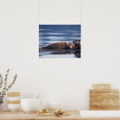 Seeotter, Enhydra lutris lutris, Mutter mit Poster (Küche)