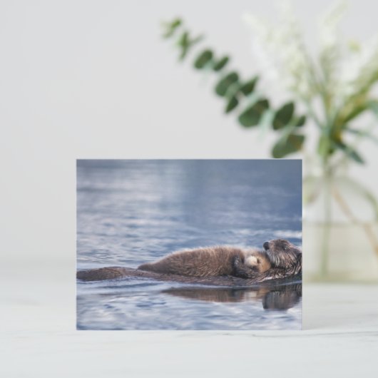 Seeotter, Enhydra lutris lutris Postkarte (Stehend Vorderseite)