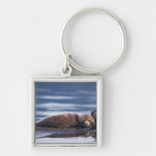 Seeotter, Enhydra lutris lutris Schlüsselanhänger