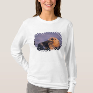 Seeotter, Enhydra lutris T-Shirt