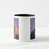 Seeotter, Enhydra lutris Tasse (Zentrum)