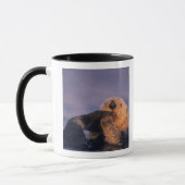 Seeotter, Enhydra lutris Tasse (Links)