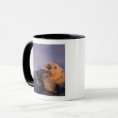 Seeotter, Enhydra lutris Tasse (Vorderseite Links)