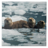 Seeotter-Familie Fliese (Vorderseite)