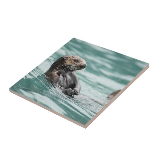 Seeotter Fliese (Seite)