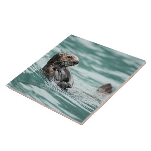 Seeotter Fliese (Seite)