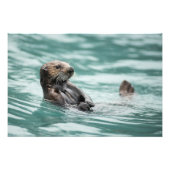Seeotter Fotodruck (Vorne)