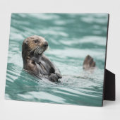 Seeotter Fotoplatte (Seite)