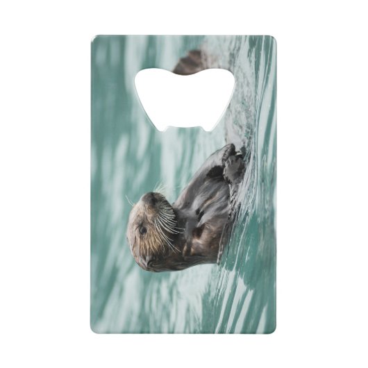 Seeotter Geldbeutel Flaschenöffner (Vorderseite)