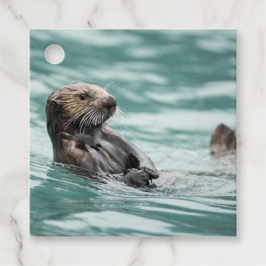 Seeotter Geschenkanhänger (Vorderseite)