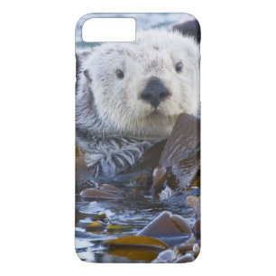 Seeotter in Algen gewickelt Case-Mate iPhone Hülle