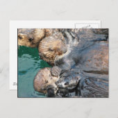 Seeotter in den Fanggeräten Postkarte (Vorne/Hinten)