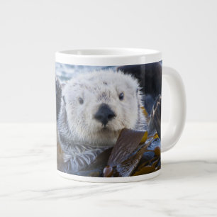 Seeotter in Seetang umhüllt Jumbo-Tasse