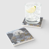 Seeotter in Seetang umhüllt Steinuntersetzer (Seitenansicht)