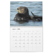 Seeotter-Kanal-Kalender #3 Kalender (Mär 2026)