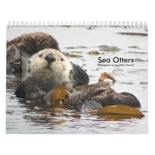 Seeotter-Kanal-Kalender #3 Kalender (Titelbild)