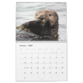 Seeotter-Kanal-Kalender #3 Kalender (Jan 2027)