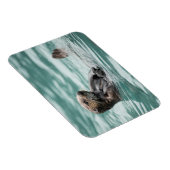 Seeotter Magnet (Rechte Seite)