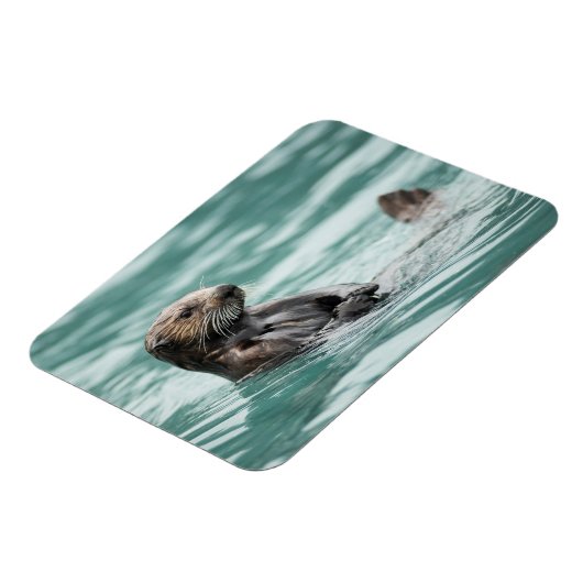 Seeotter Magnet (Linke Seite)