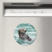 Seeotter Magnet (In Situ (Geschirrspüler))