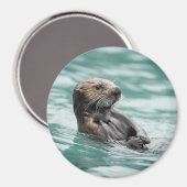 Seeotter Magnet (Vorderseite/Rückseite)