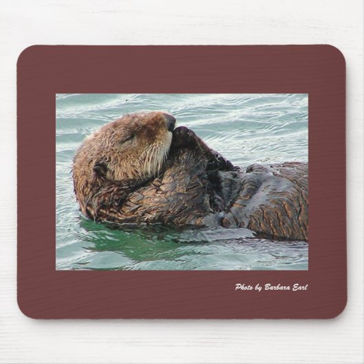 Seeotter Mousepad (Vorne)