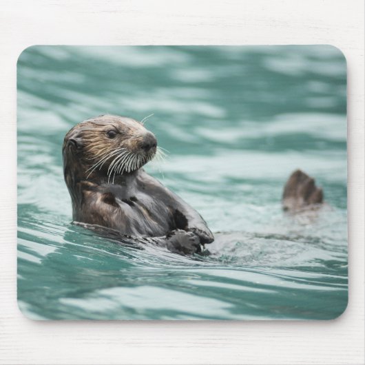 Seeotter Mousepad (Vorne)