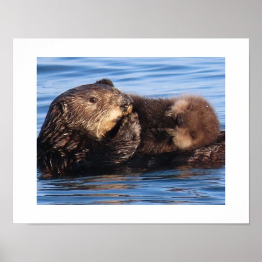 Seeotter-Mutter und bezauberndes Jungtier  Poster (Vorne)