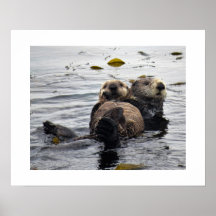 Seeotter-Mutter und Jungtier